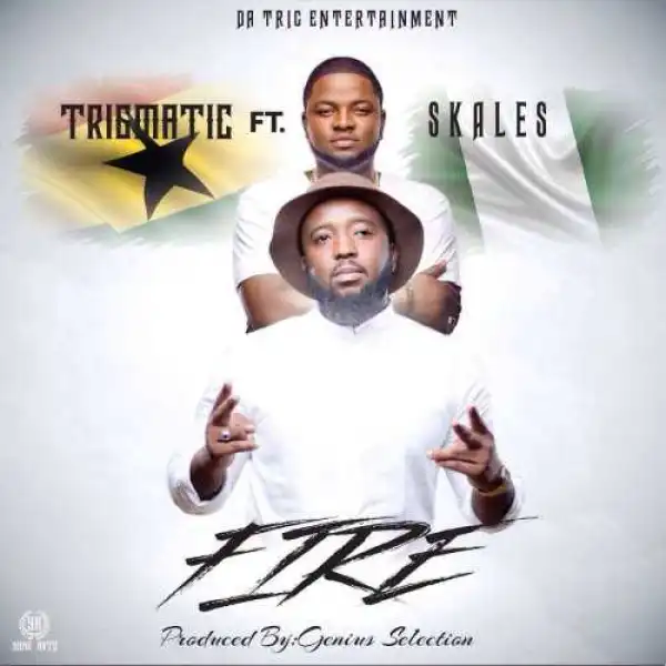 Trigmatic - Fire ft. Skales (Prod By Genius Selection)